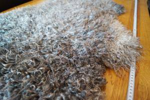 Schaffelle - Gotland - 4cute-sheepskin