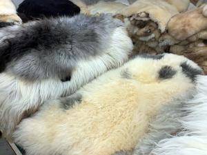 Schaffelle -  Natürliche Schafshaut - 779011_sheepskintannerypoland