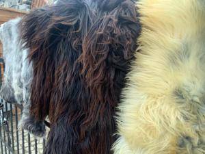 Schaffelle -  Natürliche Schafshaut - 863197_sheepskinadamleather