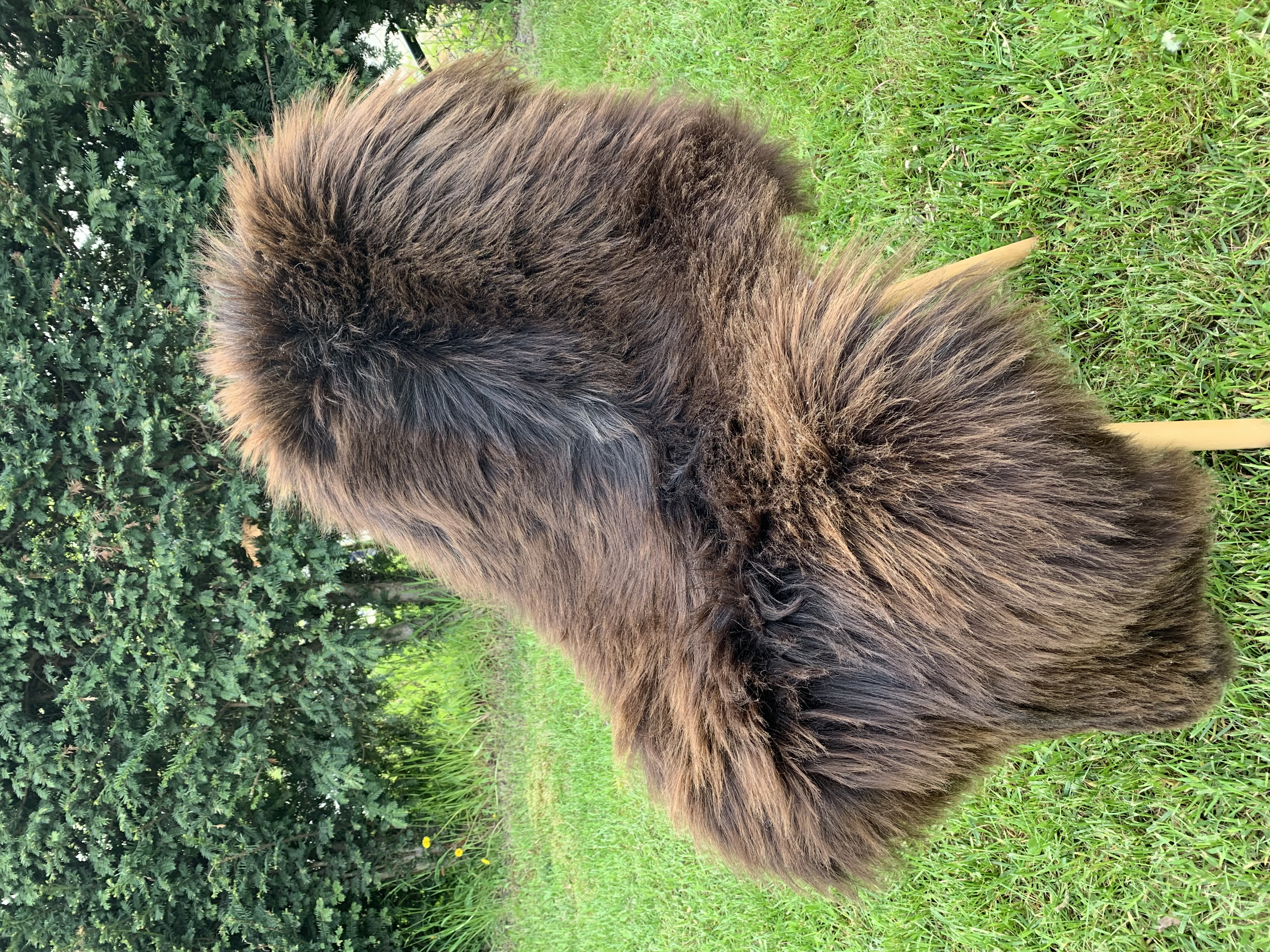 Schaffelle - Heidschnucke - heidschnucke-adam-leather-sheepskin