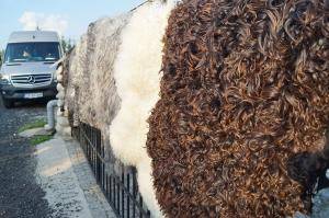 Schaffelle - Schwedische - swedish-sheepskins1