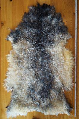 Schaffelle - Gotland - unique-sheepskin