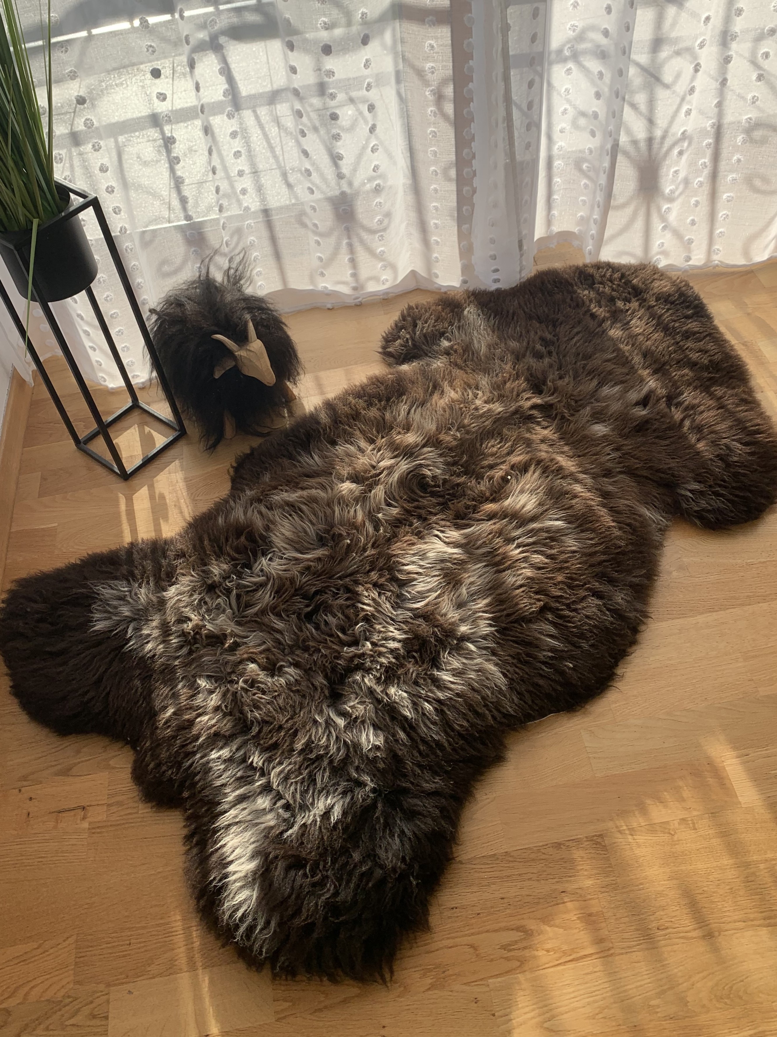 Schaffelle - Schaffelle - texelbrown
