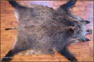 Schaffelle - Wildschweinfelle - beauty-boar-skins-adam-leather