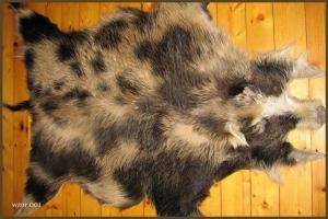 Schaffelle - Wildschweinfelle - natural-boar-skins-adam-leather