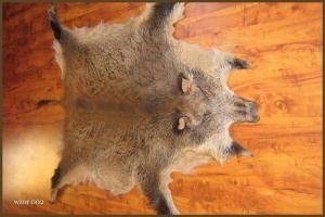 Schaffelle - Wildschweinfelle - original-boar-skins-adam-leather