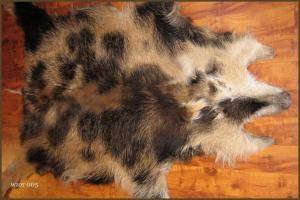 Schaffelle - Wildschweinfelle - superb-boar-skins-adam-leather