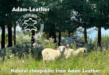 Schaffelle - Siesta ist in vollem Gange! Schaffell! Hergestellt von der Natur – Hergestellt von Adam Leather! 