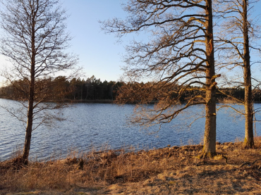 Schaffelle - Wir gehen auf Geschäftsreise zu Kunden aus Schweden!
