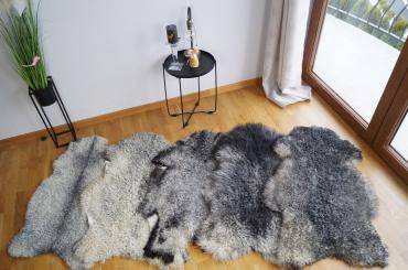 Schaffelle - Ein einzigartiges Paket mit 50 Gotland Schaffellen!