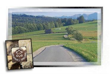 Schaffelle - Porträts von Schafen