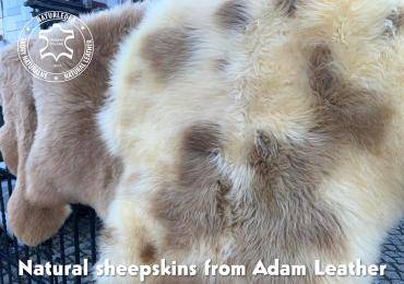 Schaffelle - Stracciatella-Schaffell von Adam Leather