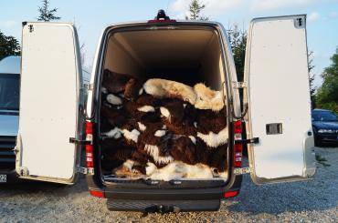 Schaffelle - Professioneller Transport