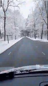 Schaffelle - Winterreise zu Kunden aus den Niederlanden - eine neue Lieferung von Schaffellen