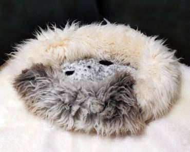 Hundebetten (Muster 11)