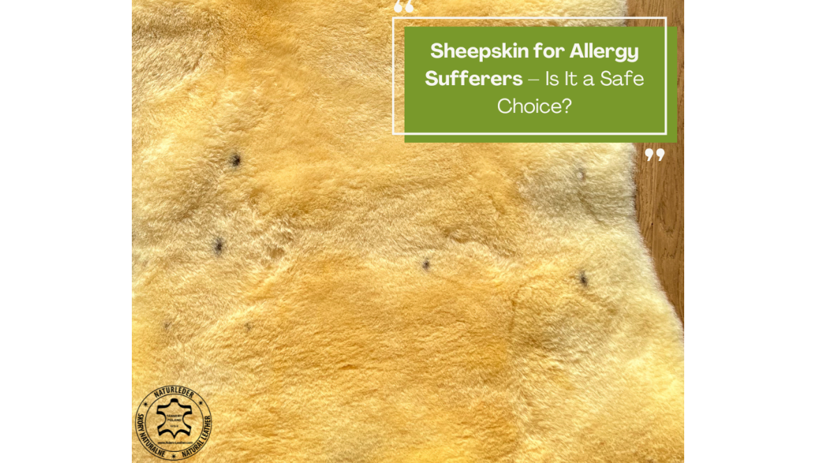 Schaffell für Allergiker – Ist es eine sichere Wahl?